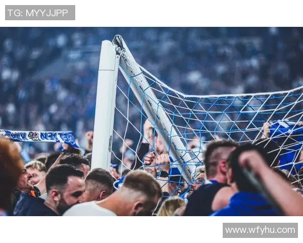 沙尔克04霸气登顶德甲赛场绝对称霸! 沙尔克04霸气登顶德甲赛场绝对称霸!